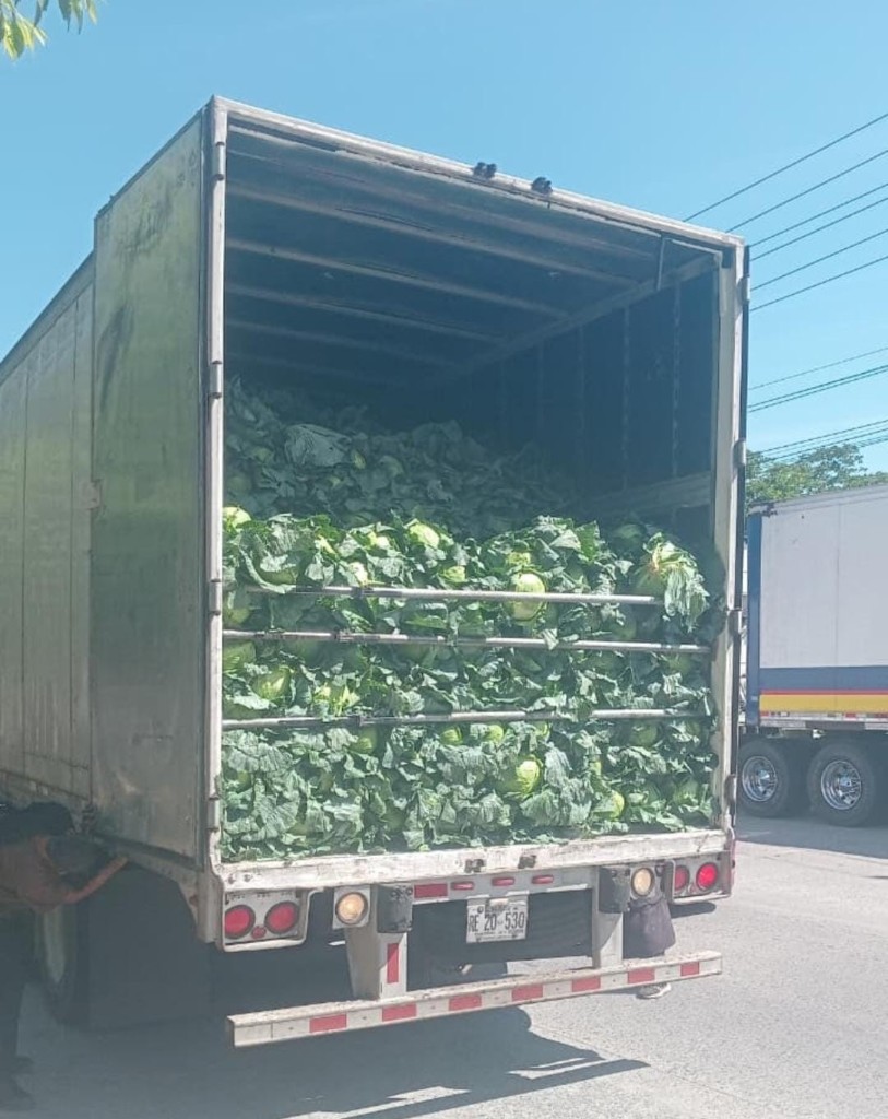 Camión refrigerado con hortalizas frescas manteniendo la cadena de frío en transporte terrestre