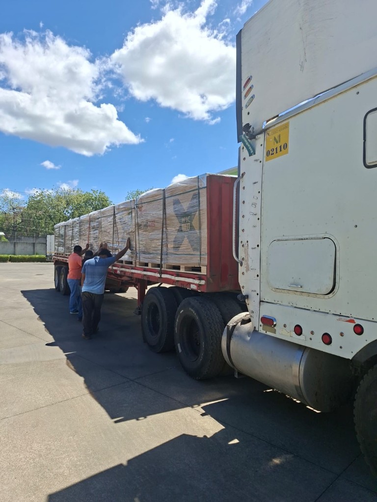 Camión de carga seca con mercancía general paletizada y asegurada para transporte terrestre